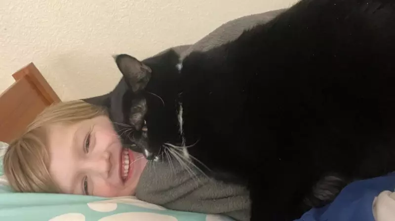 Lost Cat Found in Winnipeg After 5-Month Journey from Northern B.C.