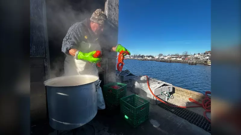 Low Lobster Prices Fuel Surge in Nova Scotia Sales