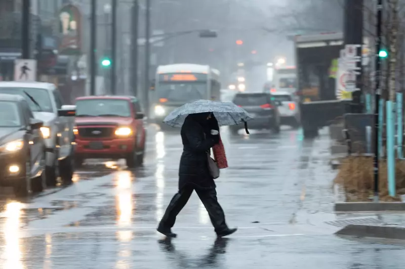 Maritimes Brace for Heavy Rain and Strong Winds: Weather Warnings Issued