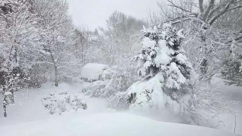 Maritimes Brace for Snow Squalls and Bitter Cold as Polar Front Arrives Thursday