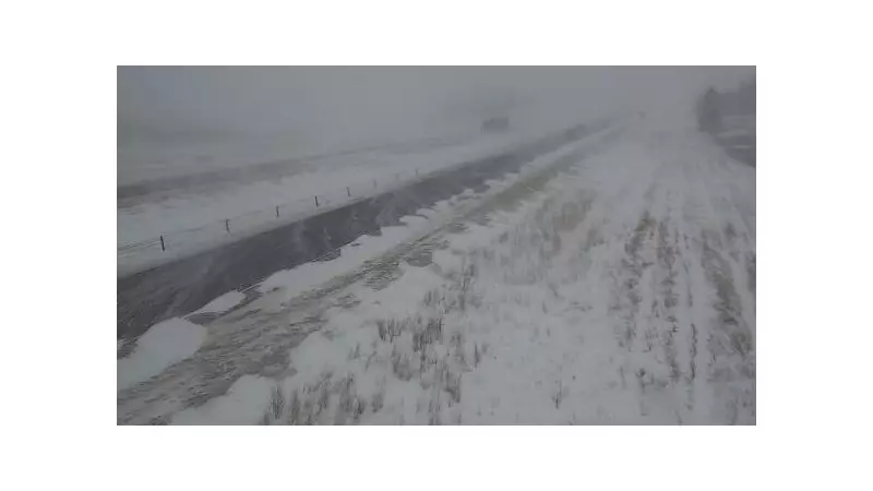 Massive 80-100 Car Pileup Shuts Down Alberta's Highway 2 in Winter Storm