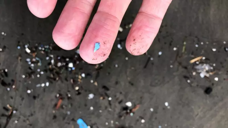 Microplastics and Brain Health: Emerging Risks and Prevention Strategies