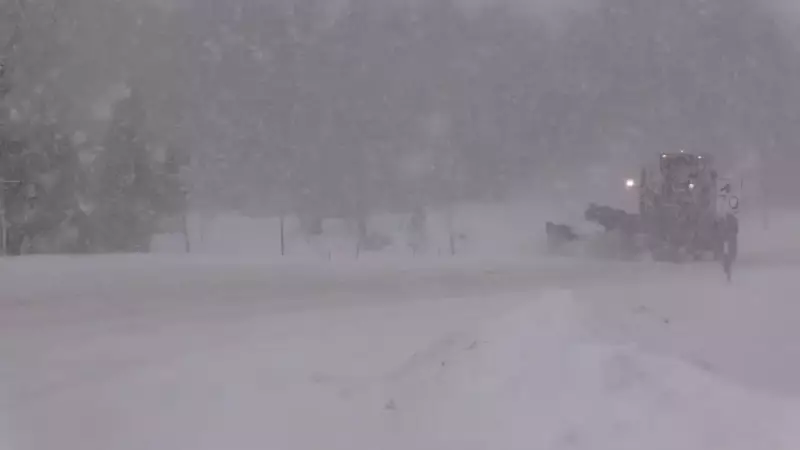 Midwestern Ontario Snowstorm Forces Cancellation of New Year's Eve Celebrations