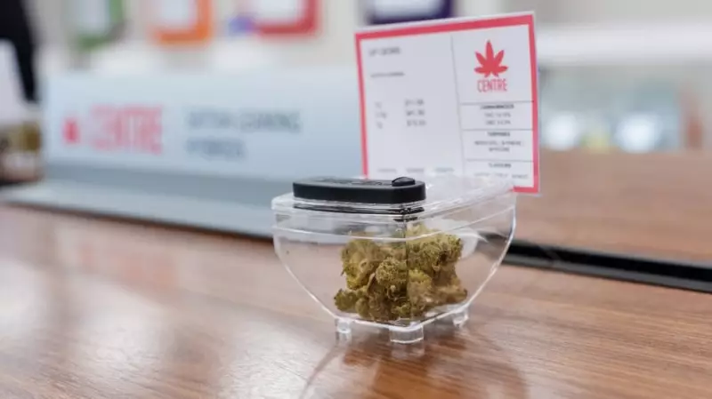 Mi'kmaw Chiefs Voice Frustration Over Calls to Shut Down Illegal N.S. Cannabis Shops