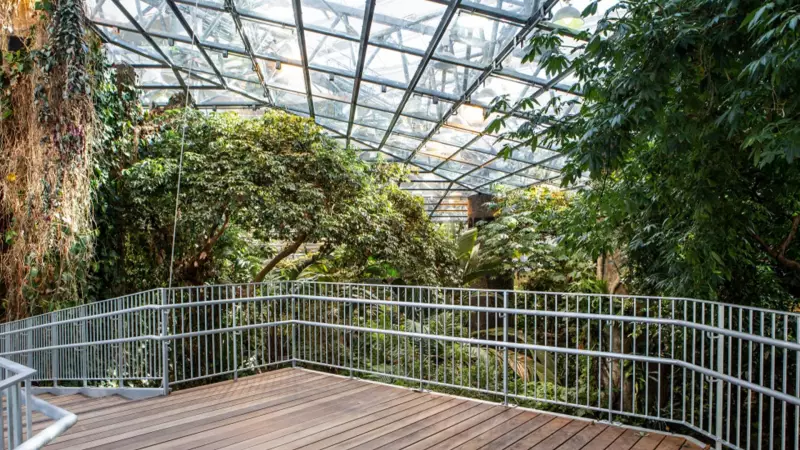 Montreal Holiday 2025: Essential City Services Schedule & Operating Hours