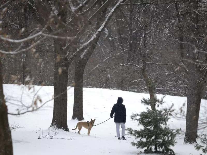 Montreal's Deep Freeze Eases as Final 2025 Supermoon Rises