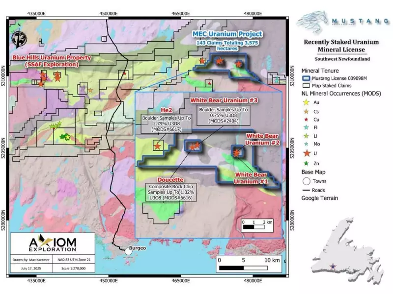 Mustang Energy Expands into Newfoundland with Two New Mineral Projects