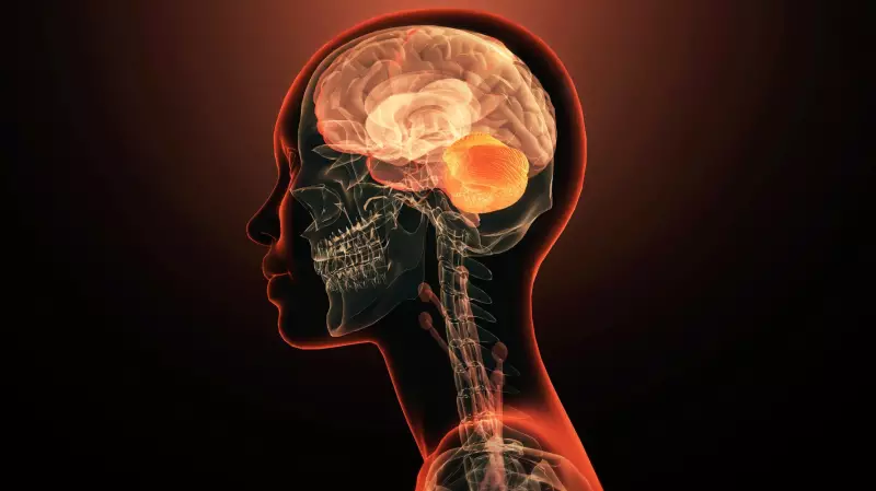 Neurologist's 30-Year Secret: Why Your Brain Needs a Rainbow, Not Supplements