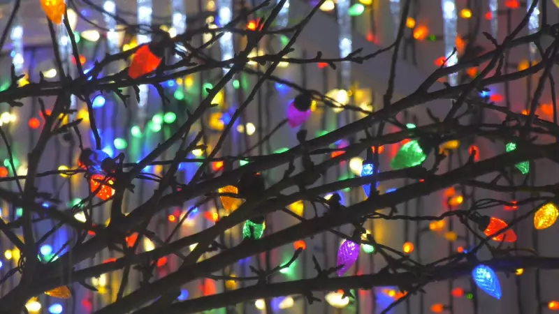 Neuroscientist Reveals Why Your Brain Loves the Holidays and How to Fight Anxiety