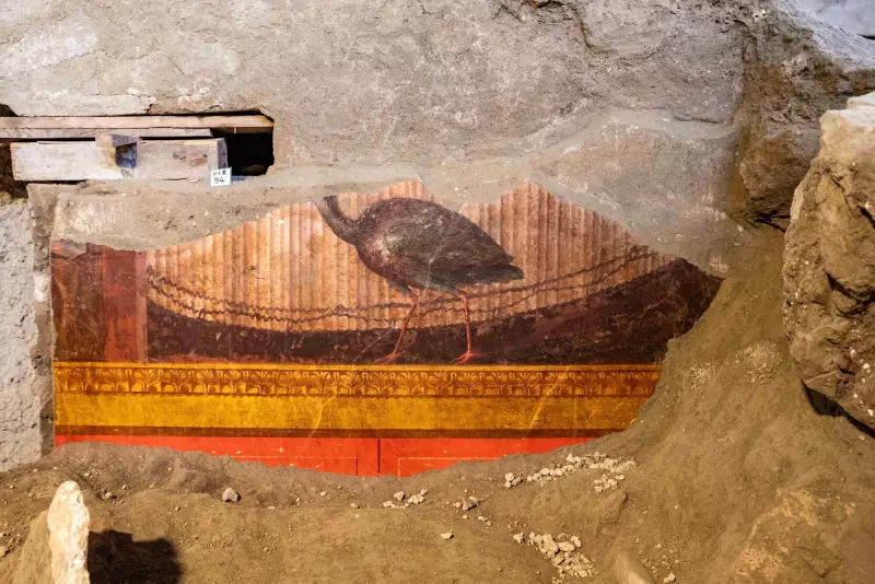 New Pompeii Frescoes Reveal Stunning Peahen Artwork with 'Extraordinary Details'