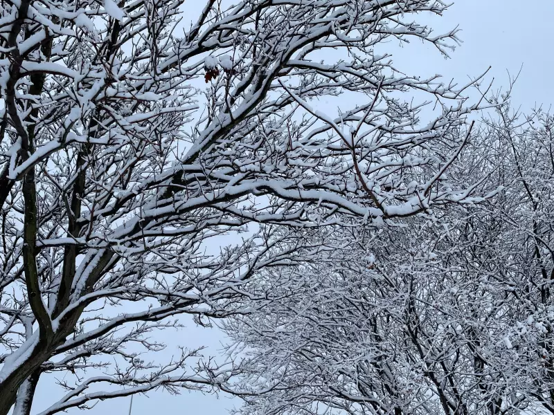 New Year's Eve Snow Forecast: Ontario Braces for Winter Blast