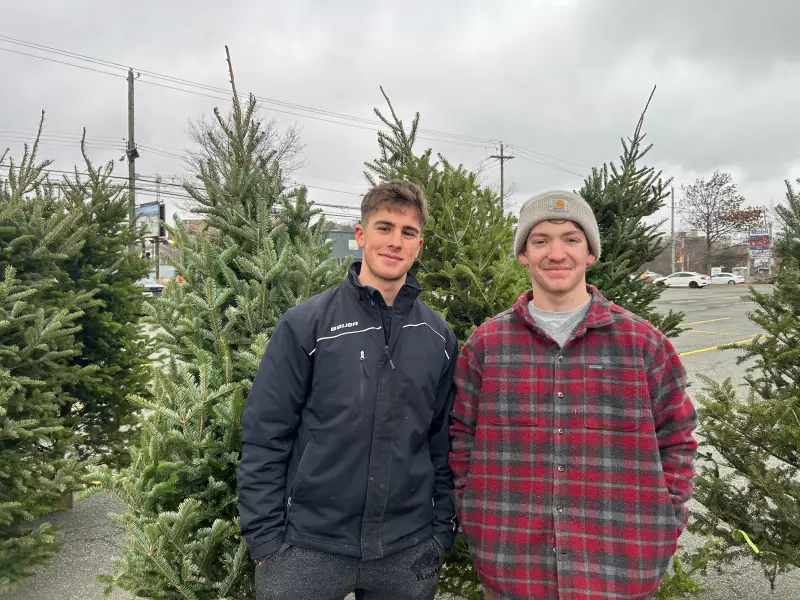 Nova Scotia Christmas Tree Sales See Festive Surge in 2025