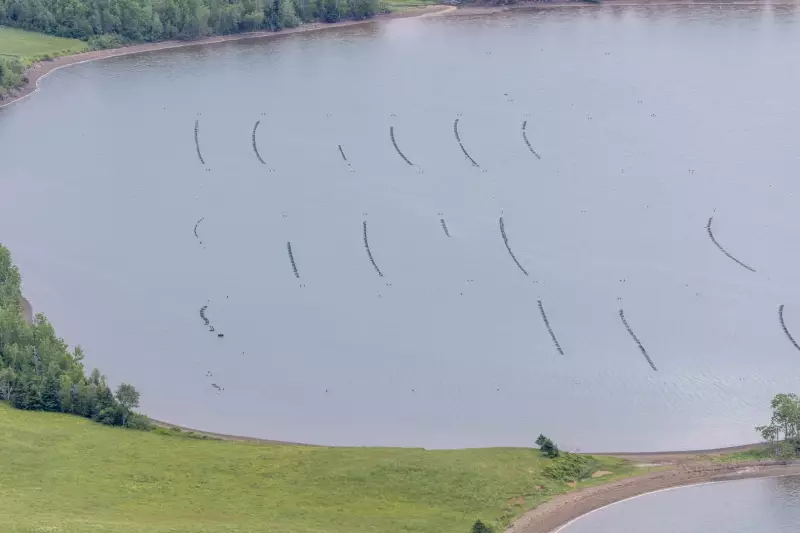 Nova Scotia Updates Aquaculture Regulations to Boost Industry Growth