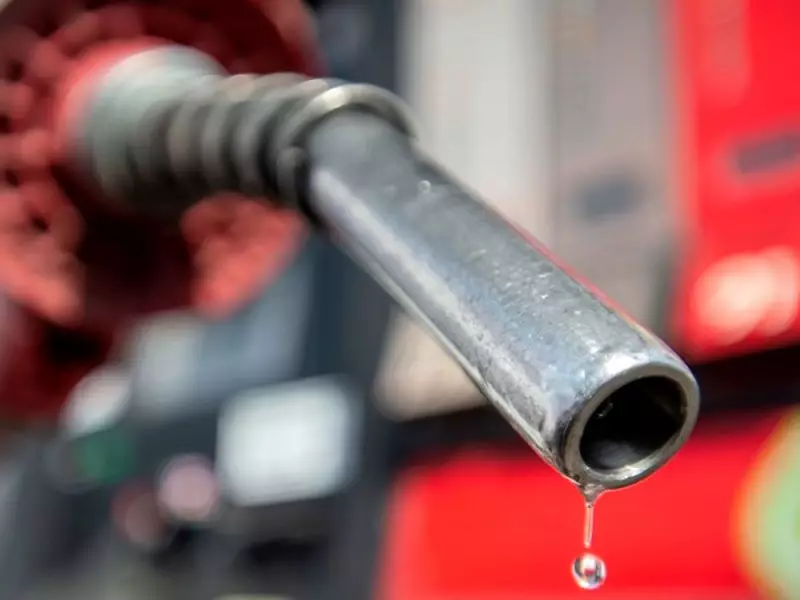 Oil Prices Set to Soar in 2026, Warns Ninepoint's Eric Nuttall