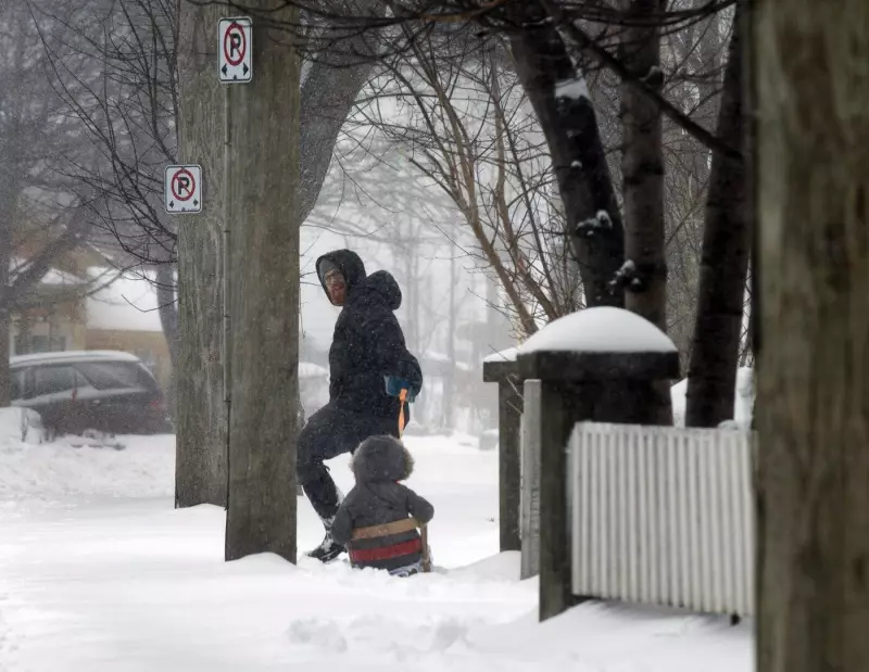 Ontario Braces for Freezing Rain and Snow as Newfoundland Faces Blizzards