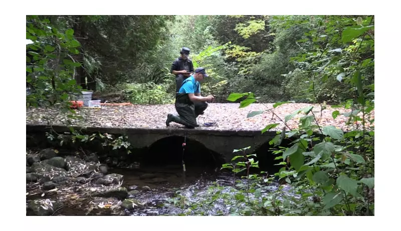 Ontario Conservation Authorities Fight Boundary Changes Affecting Area 'Bigger Than Belize'