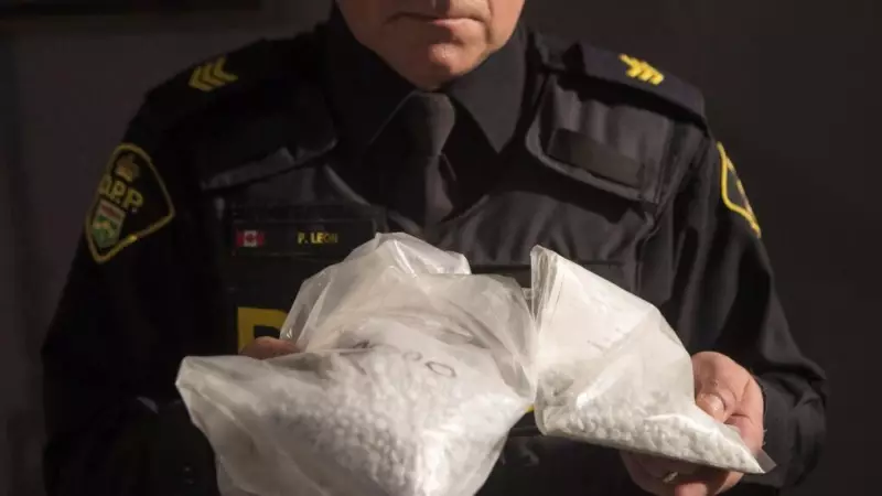 Ontario Launches Public Dashboard for Real-Time Drug-Use Data via Wastewater Analysis