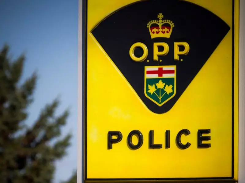 Ontario Trio Faces Over 350 Charges in 20-Store Summer Crime Spree