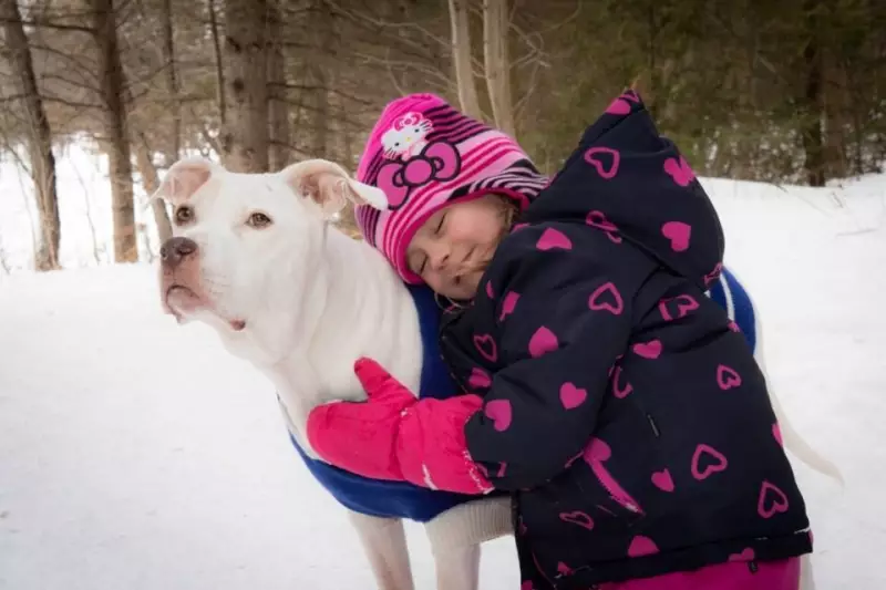 Ontario Veterinary College Opens Pet Grief Support Centre in Guelph