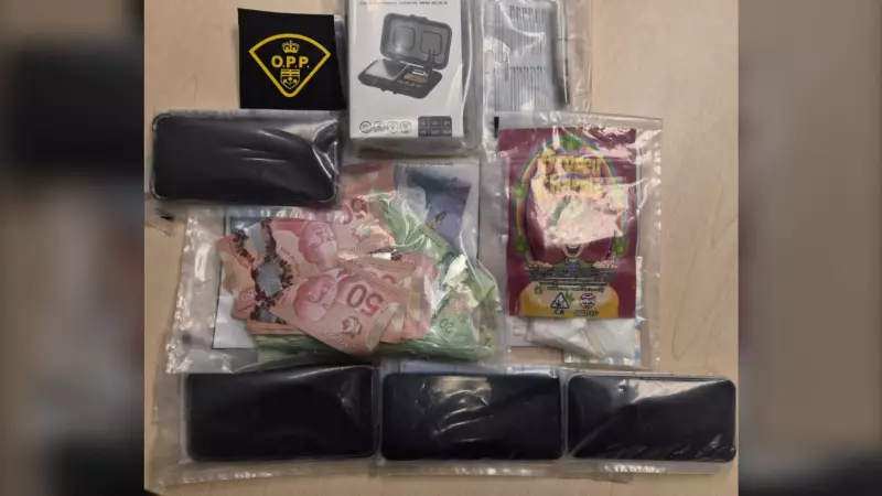 OPP Highway 17 traffic stop near Mattawa leads to drug trafficking charges
