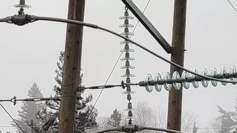 OPP Investigates $220K in Damaged Hydro Poles After Shooting Spree in Goulais River