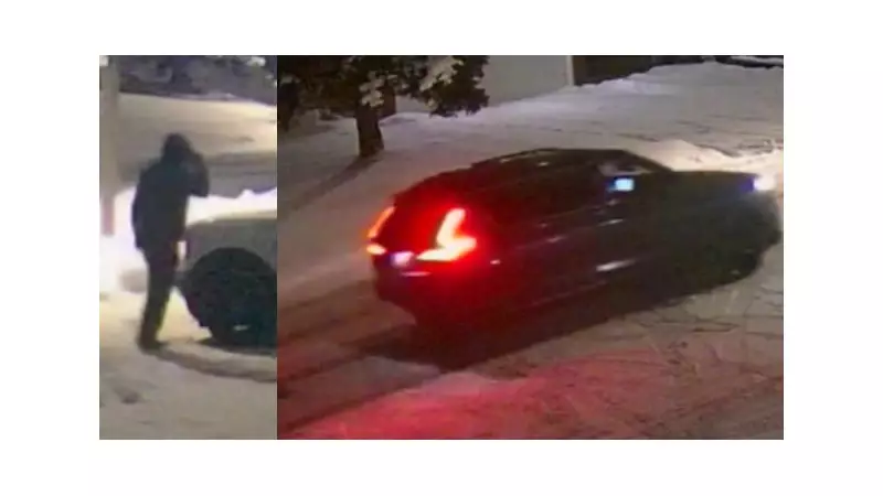 OPP Investigates Series of Attempted Pickup Truck Thefts in Orangeville