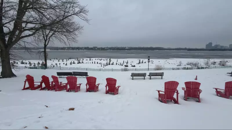 Ottawa Braces for 10-20 mm of Rain Over Next 48 Hours