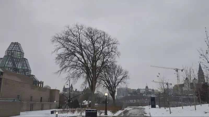 Ottawa Braces for -18°C and Snowfall This Sunday