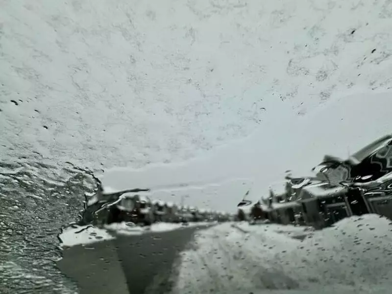 Ottawa Faces Icy Peril: Freezing Rain Warning Persists, 70 km/h Winds Threaten