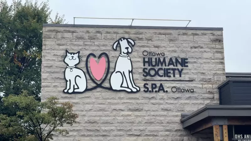 Ottawa Humane Society Seeks Holiday Pet Food Donations for Animals in Care
