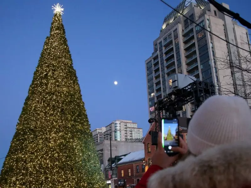 Ottawa's Tallest Christmas Tree Crowned in ByWard Market for 2025