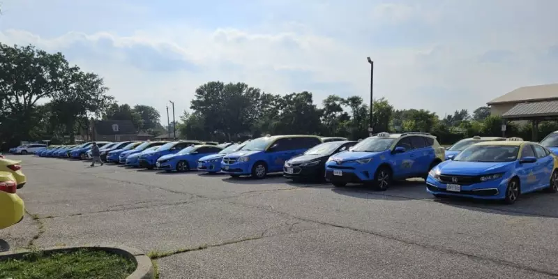 Over 300 Vets Cab Drivers Ready for Windsor's New Year's Eve Celebrations