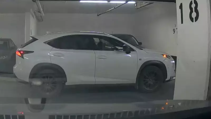 Peel Police Hunt Stolen White Lexus SUV Linked to Mississauga Break-Ins