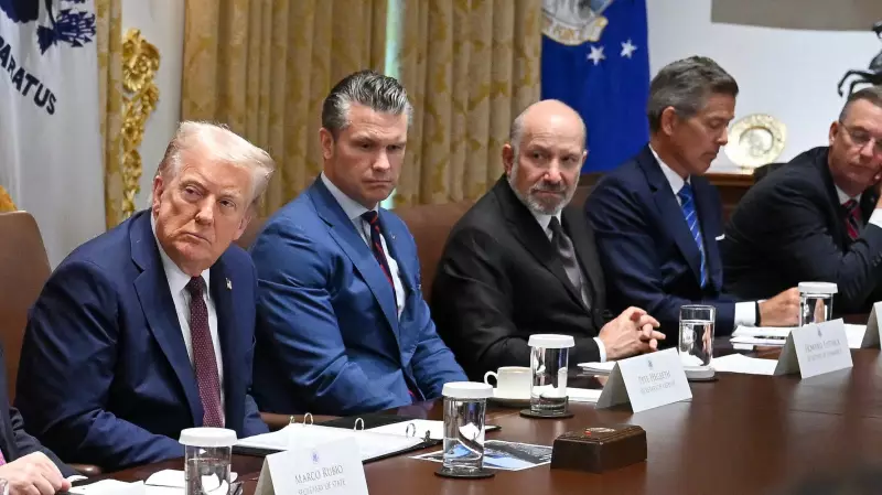 Podcaster Tim Dillon Blasts Trump Official's 'Dress Up' Air Travel Plea