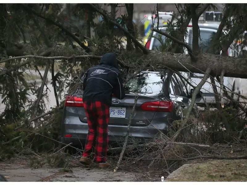 Powerful Winds Wreak Havoc in Windsor-Essex: Trees Down, Power Lines Damaged