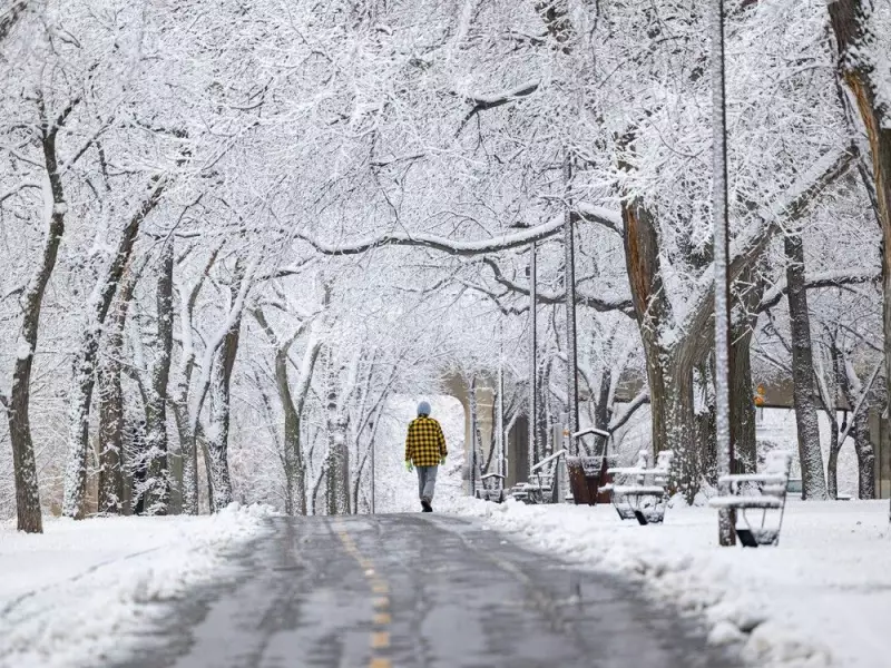 Prairie Provinces Brace for Blizzard: Up to 30 cm Snow, 110 km/h Winds