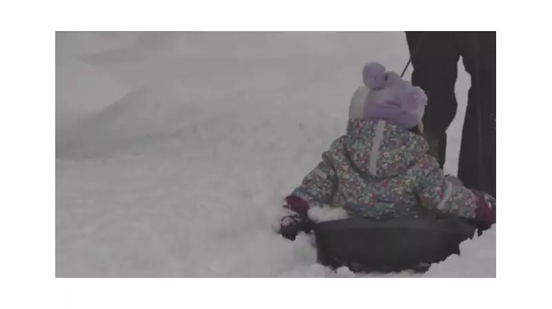 Public Health Warns of Dangerous Cold in Brantford, Brant, Haldimand-Norfolk