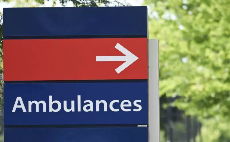 Quebecers Urged to Steer Clear of ERs as Flu and Respiratory Viruses Create 'Maelstrom'