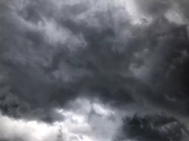 Rainfall and Wind Warnings Issued for Windsor-Essex and Chatham-Kent