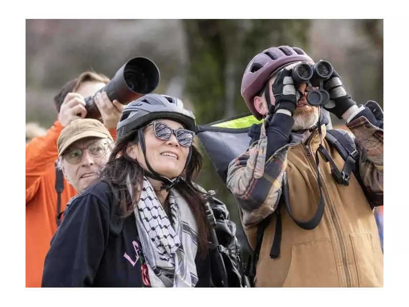 Rare Taiga Flycatcher Spotted in Vancouver for First Time in Canada