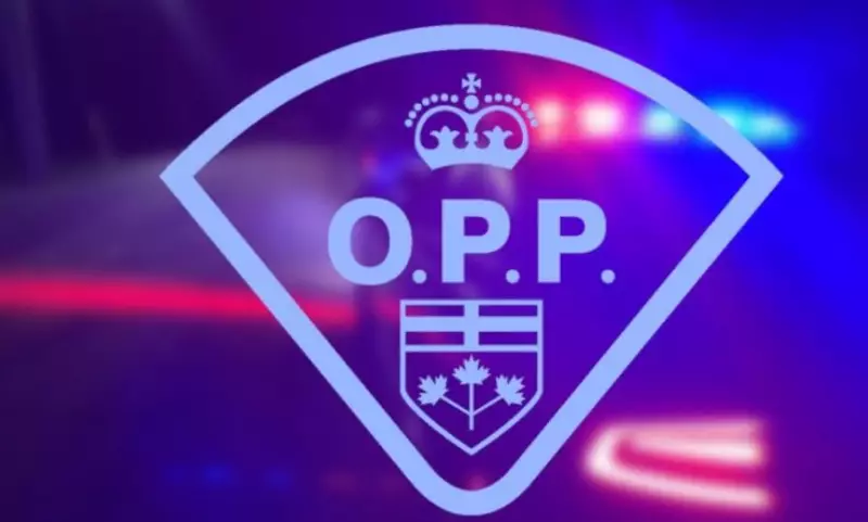Road Closure in Dawn-Euphemia Township Following Single-Vehicle Collision