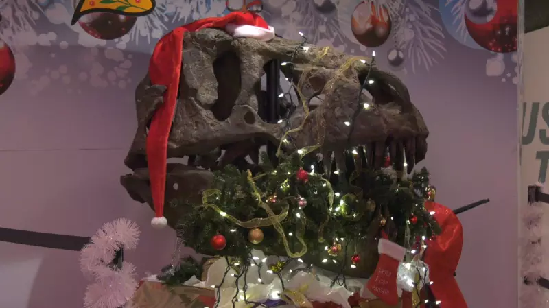 Royal Saskatchewan Museum Hosts First-Ever T-Rex Christmas Party
