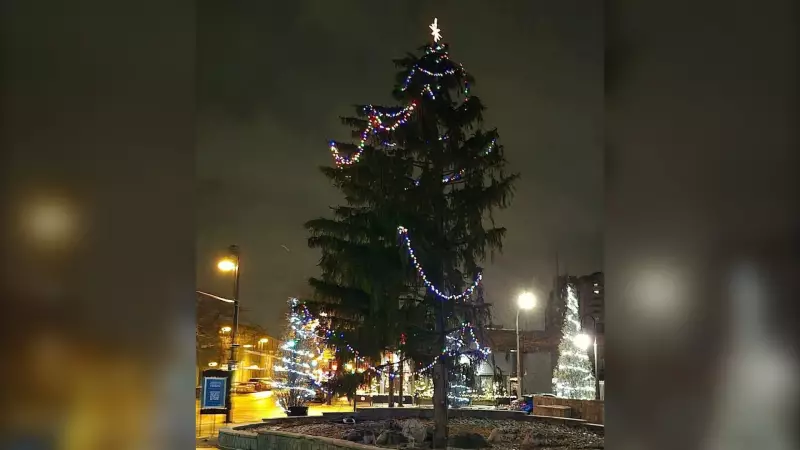 Sarnia Defends City Hall Christmas Tree After Social Media Criticism