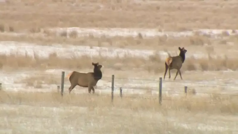 Saskatchewan Wildlife Federation Reports Dozens of Unethical Hunting Complaints