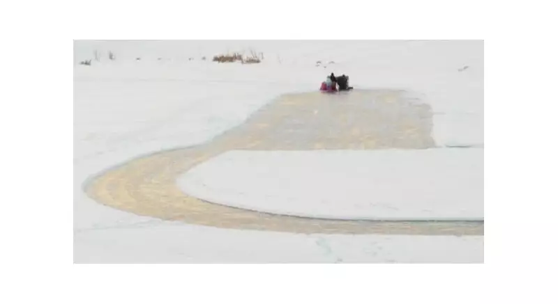 Saskatoon's Winter Trails and Skating Ponds Open for Season, City Confirms