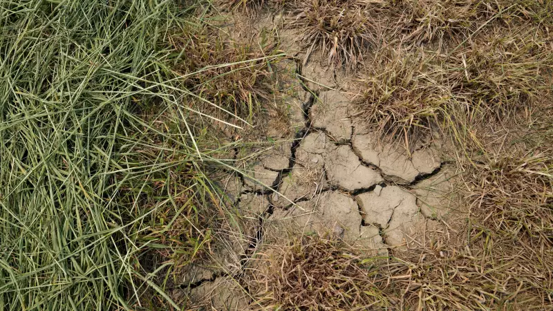 Severe Maritime Drought Ranks Among Canada's Top 10 Weather Events of 2025