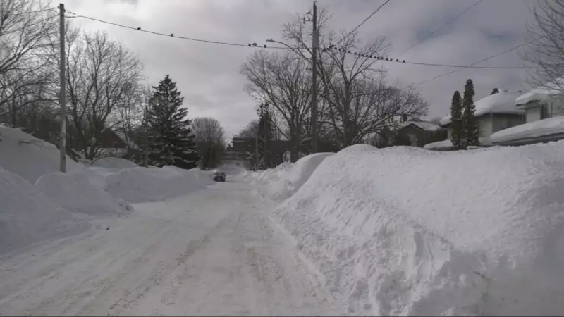 Snowfall Warning Issued for Sudbury and Sault Ste. Marie, Up to 10 cm Expected