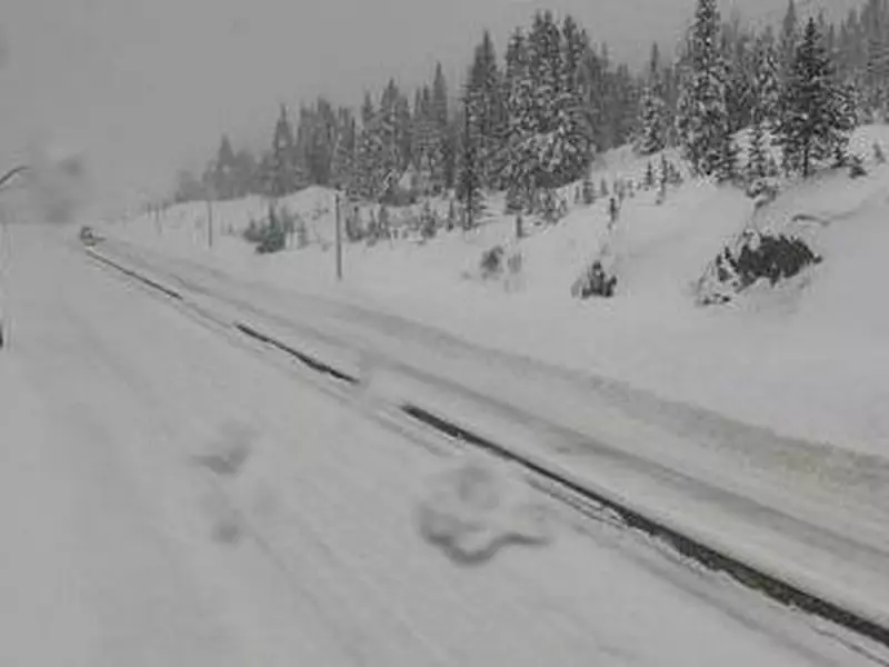 Snowfall Warnings Issued for B.C. Highways, Metro Vancouver Braces for Rainy Christmas