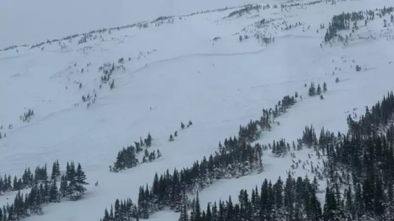 Snowmobiler Killed in Tumbler Ridge Avalanche on December 31, 2025