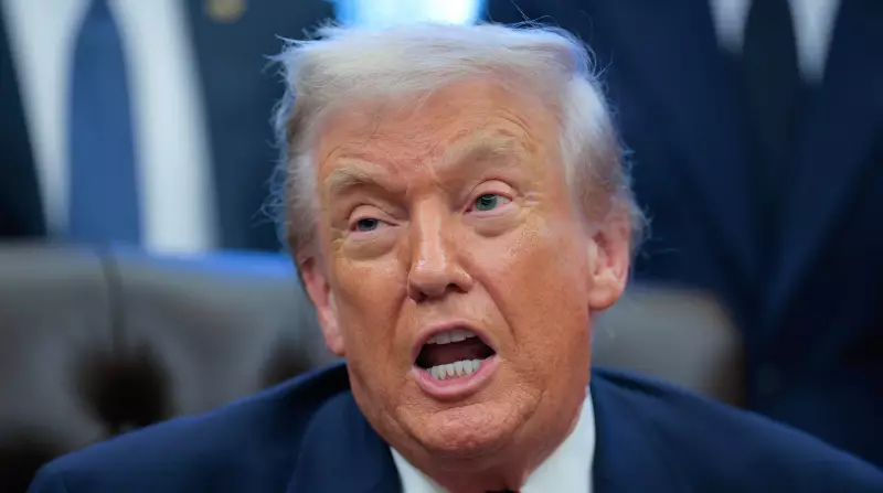 Somali-American Republican Condemns Trump's 'Garbage' Remark Amid Minnesota Immigration Operation